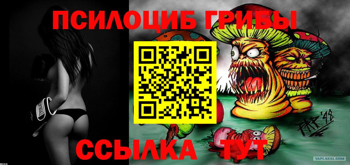 Галлюциногенные грибы ЛСД  Вход с VPN  Губкинский 